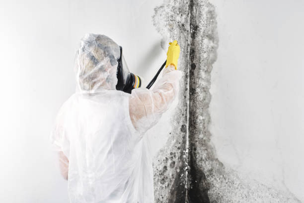 Best Water damage restoration company  in USA